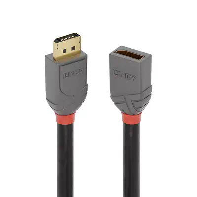 Vente LINDY 0.5m DisplayPort Extension Cable Anthra Line au meilleur prix