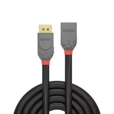 Vente LINDY 0.5m DisplayPort Extension Cable Anthra Line Lindy au meilleur prix - visuel 2