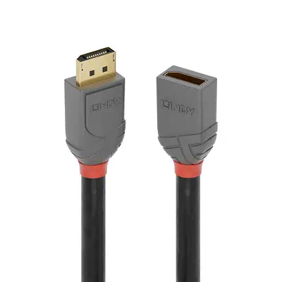 LINDY 2m DisplayPort Extension Cable Anthra Line - Lindy - Câble Audio - visuel 1
