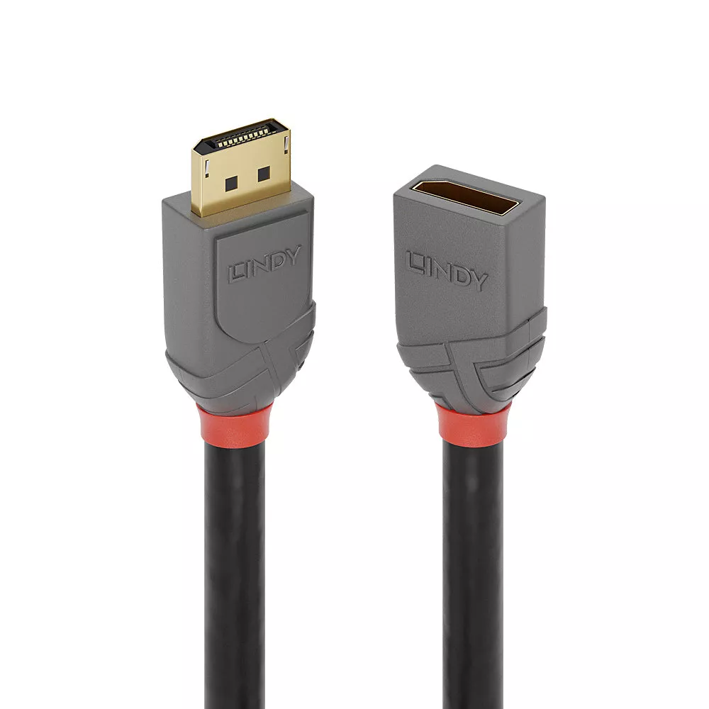 Vente Câble Audio LINDY 2m DisplayPort Extension Cable Anthra Line