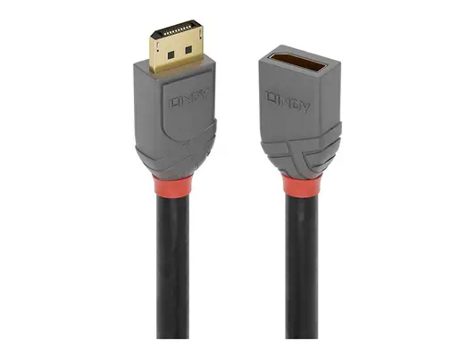 LINDY 3m DP 1.4 Extension Anthra Line - Lindy - Câble Audio - visuel 1