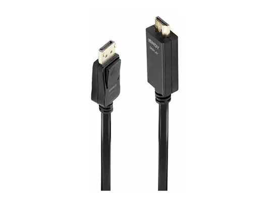 LINDY Câble DisplayPort vers HDMI 4K30 DP:passif 0.5m - Lindy - Câble Audio - visuel 2