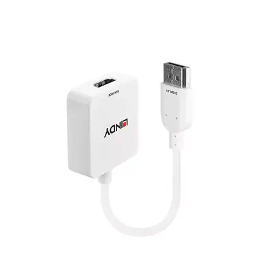 LINDY Convertisseur HDMI vers DisplayPort 4K - Lindy - Câble Audio - visuel 1