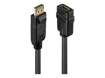 Acheter LINDY Convertisseur Passif DisplayPort vers HDMI