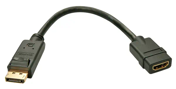 LINDY Convertisseur Passif DisplayPort vers HDMI - Lindy - Câble Audio - visuel 2