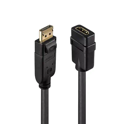 LINDY Convertisseur Passif DisplayPort vers HDMI - Lindy - Câble Audio - visuel 1
