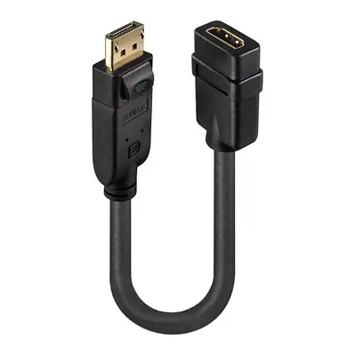 LINDY Convertisseur Passif DisplayPort vers HDMI - Lindy - Câble Audio - visuel 3