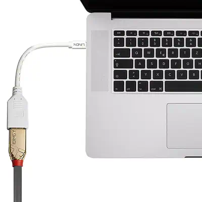LINDY Câble adaptateur Mini DP M vers DP F Premium blindé - Lindy - Câble Audio - visuel 3