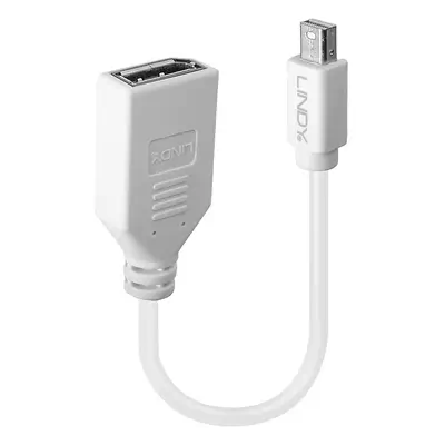 LINDY Câble adaptateur Mini DP M vers DP F Premium blindé - Lindy - Câble Audio - visuel 1