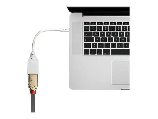 LINDY Câble adaptateur Mini DP M vers DP F Premium blindé - Lindy - Câble Audio - visuel 2