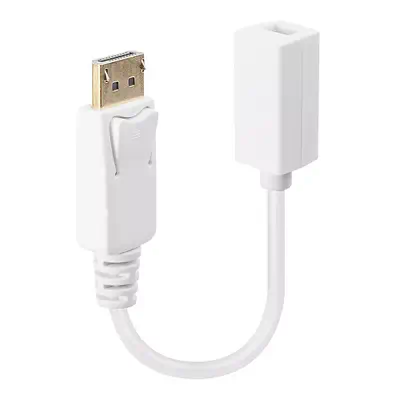 Vente LINDY DisplayPort DPM/Mini-DPF Adapter Cable 15cm au meilleur prix