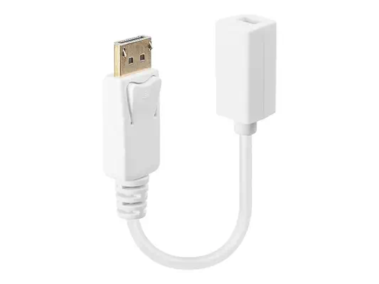 LINDY DisplayPort DPM/Mini-DPF Adapter Cable 15cm - Lindy - Câble Audio - visuel 1