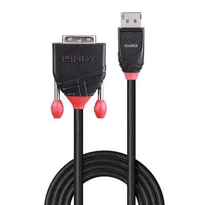LINDY Câble DisplayPort vers DVI 1m - Lindy - Câble Audio - visuel 2