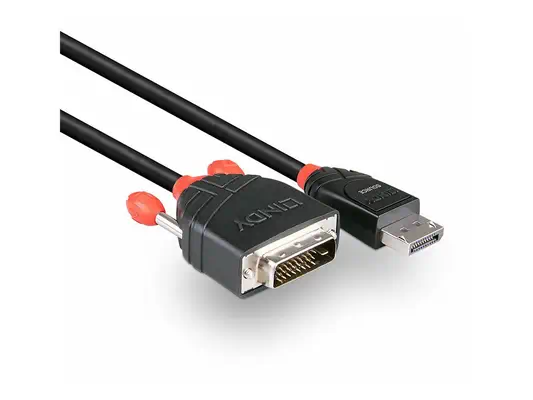 LINDY Câble DisplayPort vers DVI 1m - Lindy - Câble Audio - visuel 2