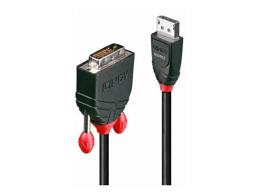 LINDY Câble DisplayPort vers DVI 1m - Lindy - Câble Audio - visuel 3