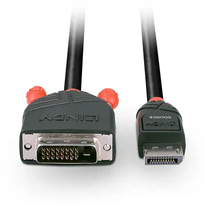 LINDY Câble DisplayPort vers DVI 3m - Lindy - Câble Audio - visuel 4