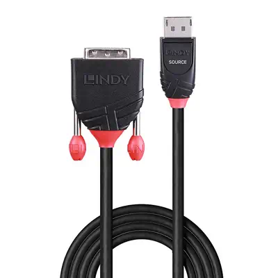 LINDY Câble DisplayPort vers DVI 3m - Lindy - Câble Audio - visuel 2