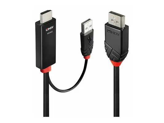 LINDY 1m HDMI to DisplayPort Cable - Lindy - Câble Audio - visuel 1