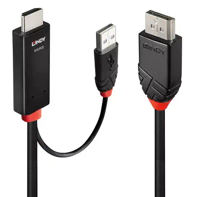 LINDY 1m HDMI to DisplayPort Cable - Lindy - Câble Audio - visuel 1