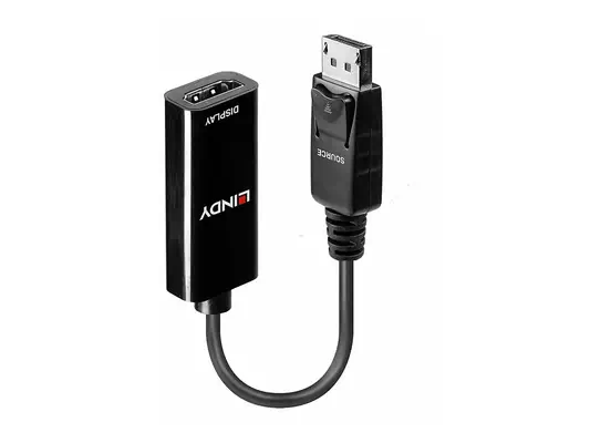 LINDY Adaptateur DisplayPort vers HDMI 4K passif - Lindy - Câble Audio - visuel 1