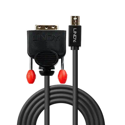 LINDY Mini DisplayPort to DVI-D Cable 2m black - Lindy - Câble Audio - visuel 2