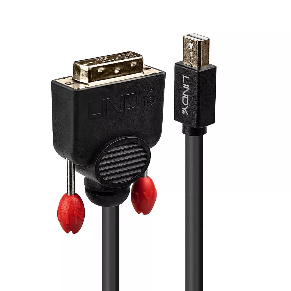 Vente Câble Audio LINDY Mini DisplayPort to DVI-D Cable 2m black sur hello RSE
