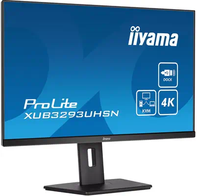 iiyama ProLite XUB3293UHSN-B5 écran plat de PC 80 cm (31.5") 3840 x 2160 pixels 4K Ultra HD LCD Noir - Ecran Ordinateur - visuel 3