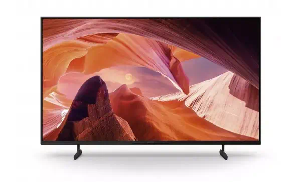 Sony FWD-43X80L TV 109,2 cm (43") 4K Ultra HD Smart TV Wifi Noir - Affichage dynamique - visuel 2