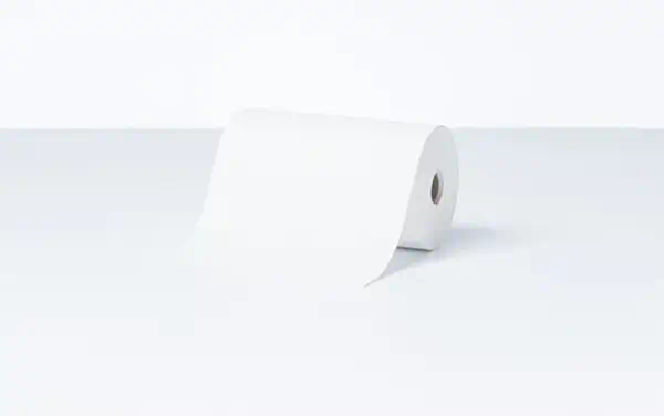 Vente BROTHER Direct thermal cont. paper roll 102mm multi. Brother au meilleur prix - visuel 6