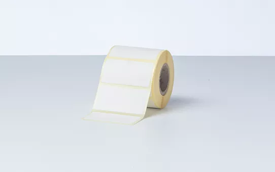 Vente BROTHER Direct thermal label roll 51x26mm 500 labels/roll Brother au meilleur prix - visuel 4
