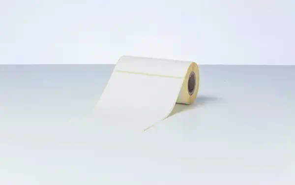 Vente BROTHER Direct thermal label roll 102X152mm 85 labels/roll Brother au meilleur prix - visuel 6