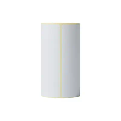 Vente Autres consommables BROTHER Direct thermal label roll 102X152mm 85 labels/roll sur hello RSE