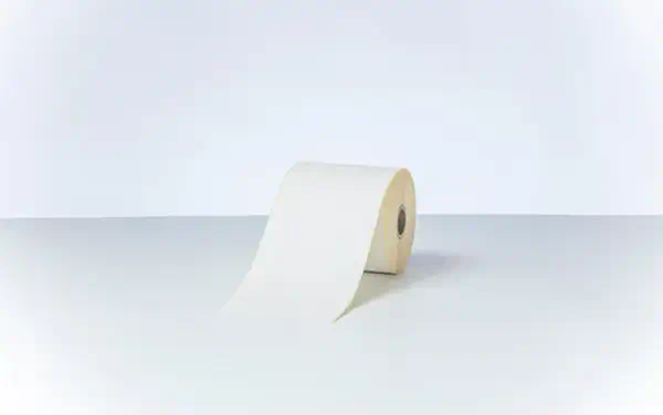 BDE-1J000102-102 - Rouleau d'étiquettes continu à impression thermique directe - Brother - Autres consommables - visuel 5
