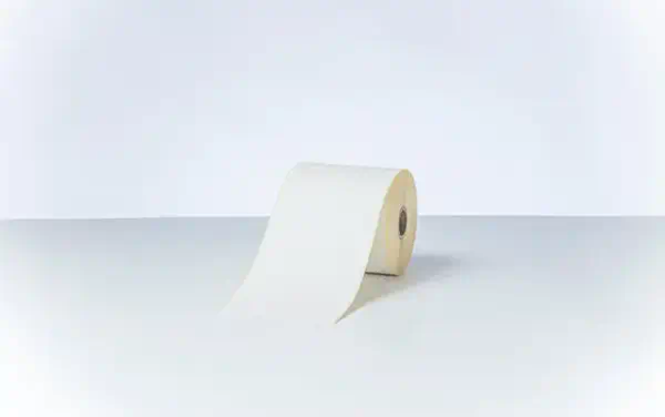 BDE-1J000102-102 - Rouleau d'étiquettes continu à impression thermique directe - Brother - Autres consommables - visuel 4