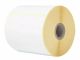 Vente BROTHER Direct thermal label roll 102x152mm 350 labels/roll Brother au meilleur prix - visuel 2