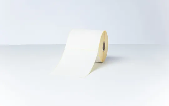 Vente BROTHER Direct thermal label roll 102x152mm 350 labels/roll Brother au meilleur prix - visuel 8