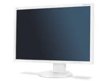Achat responsable Ecran Ordinateur NEC 60004113