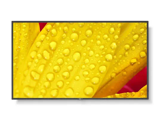 NEC MultiSync ME501 Écran plat de signalisation numérique 127 cm (50") VA 400 cd/m² 4K Ultra HD Noir - Affichage dynamique - visuel 1