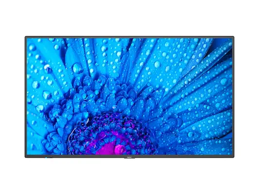 NEC MultiSync M651 Écran plat de signalisation numérique 165,1 cm (65") IPS 500 cd/m² 4K Ultra HD No - Affichage dynamique - visuel 1