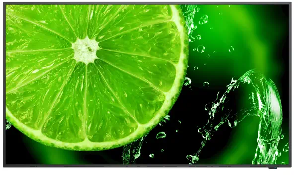 NEC MultiSync E498 124,5 cm (49") IPS 350 cd/m² 4K Ultra HD Noir 16/7 - Affichage dynamique - visuel 1