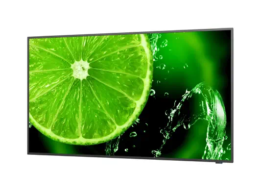 NEC MultiSync E498 124,5 cm (49") IPS 350 cd/m² 4K Ultra HD Noir 16/7 - Affichage dynamique - visuel 5