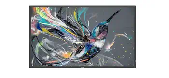 Meilleur prix Affichage dynamique Philips 86BDL3511Q/00