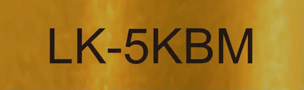 Epson LK-5KBM Noir, Or - Papier - visuel 1
