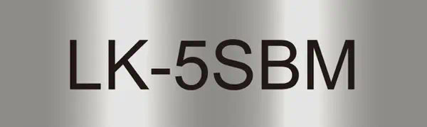 Epson LK-5SBM Noir, Argent - Papier - visuel 1
