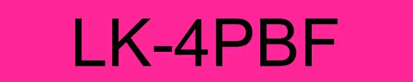 Epson LK-4PBF Noir, Rose - Papier - visuel 1