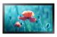 Vente SAMSUNG QB13R-TM 13p FullHD 16:9 Touch 500 nits Samsung au meilleur prix - visuel 8
