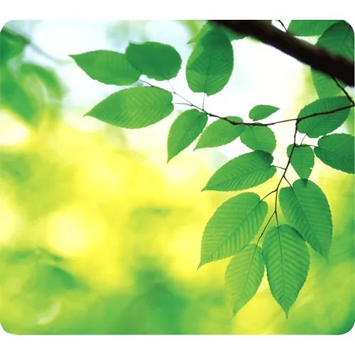 Vente Tapis FELLOWES Earth Series Mouse pad Blade sur hello RSE