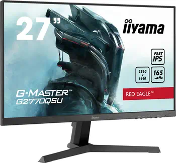 Meilleur prix Ecran Ordinateur iiyama G