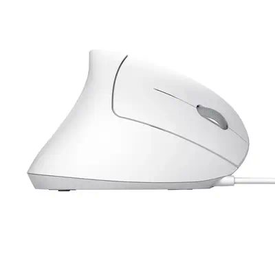 Trust Verto souris Bureau Droitier USB Type-A Optique 1600 DPI - Souris - visuel 6