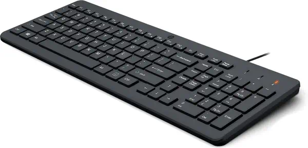 HP 150 WD KBD FR clavier Universel USB Noir - Clavier - visuel 8